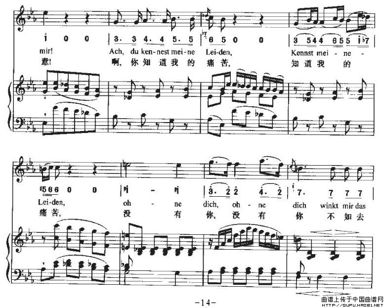 Ha，Treuloser（嘿，负心人）（中外文对照、正谱）P14