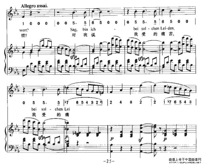 Ha，Treuloser（嘿，负心人）（中外文对照、正谱）P25