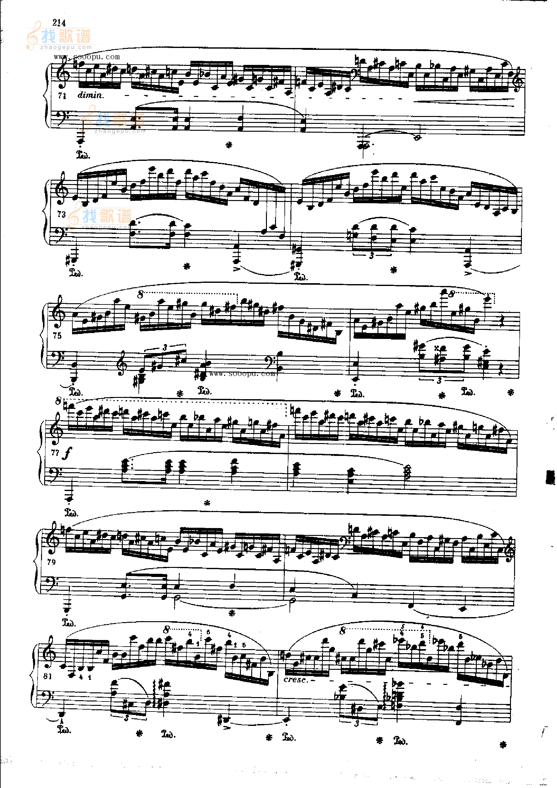 练习曲OP.25  Nr11 
