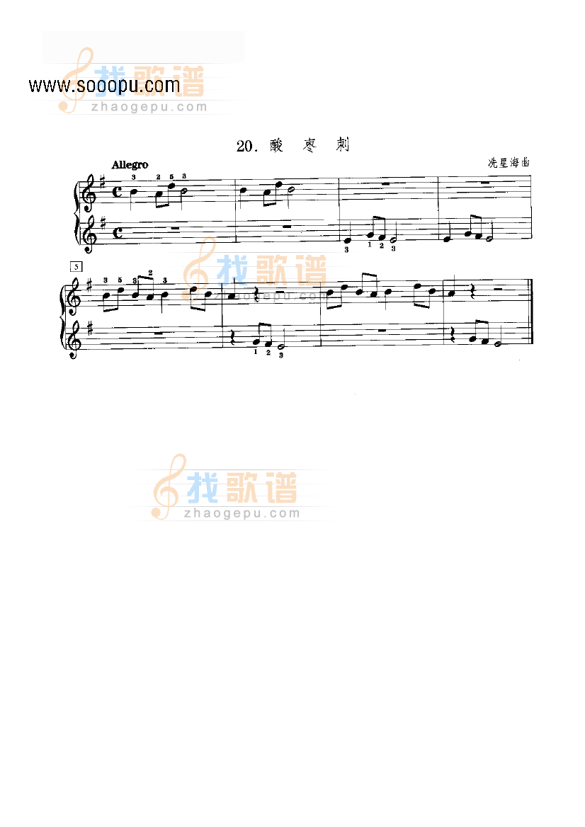 酸枣树 