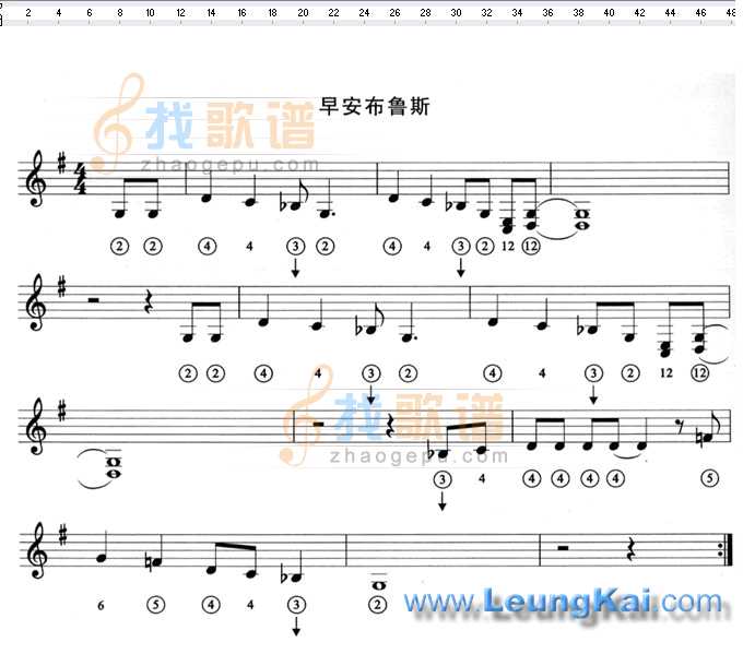 早安布鲁斯