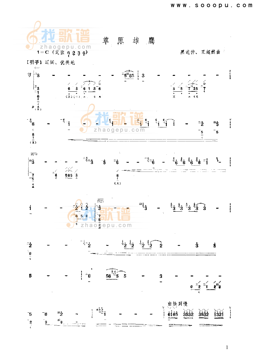 草原雄鹰