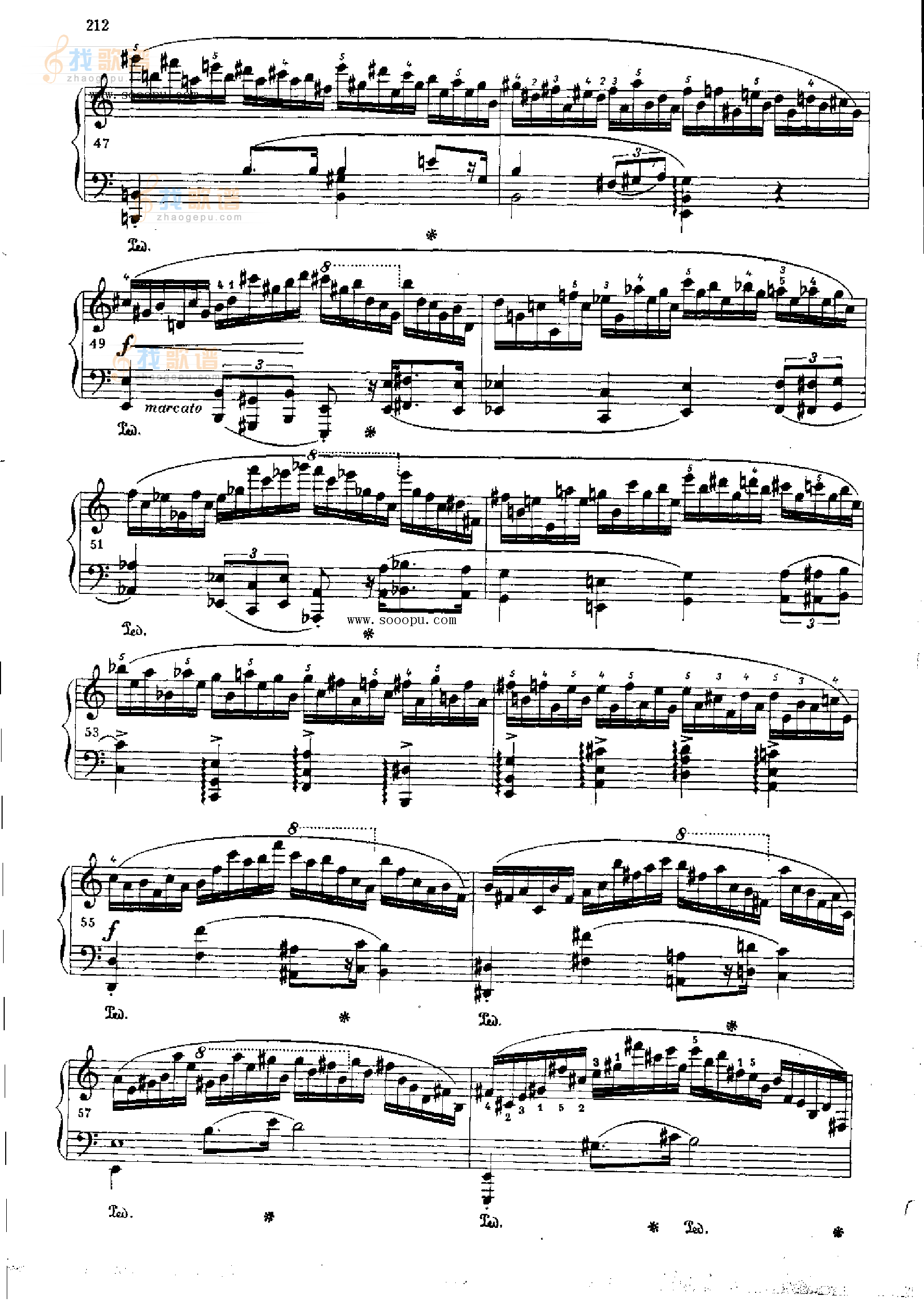 练习曲OP.25  Nr11 