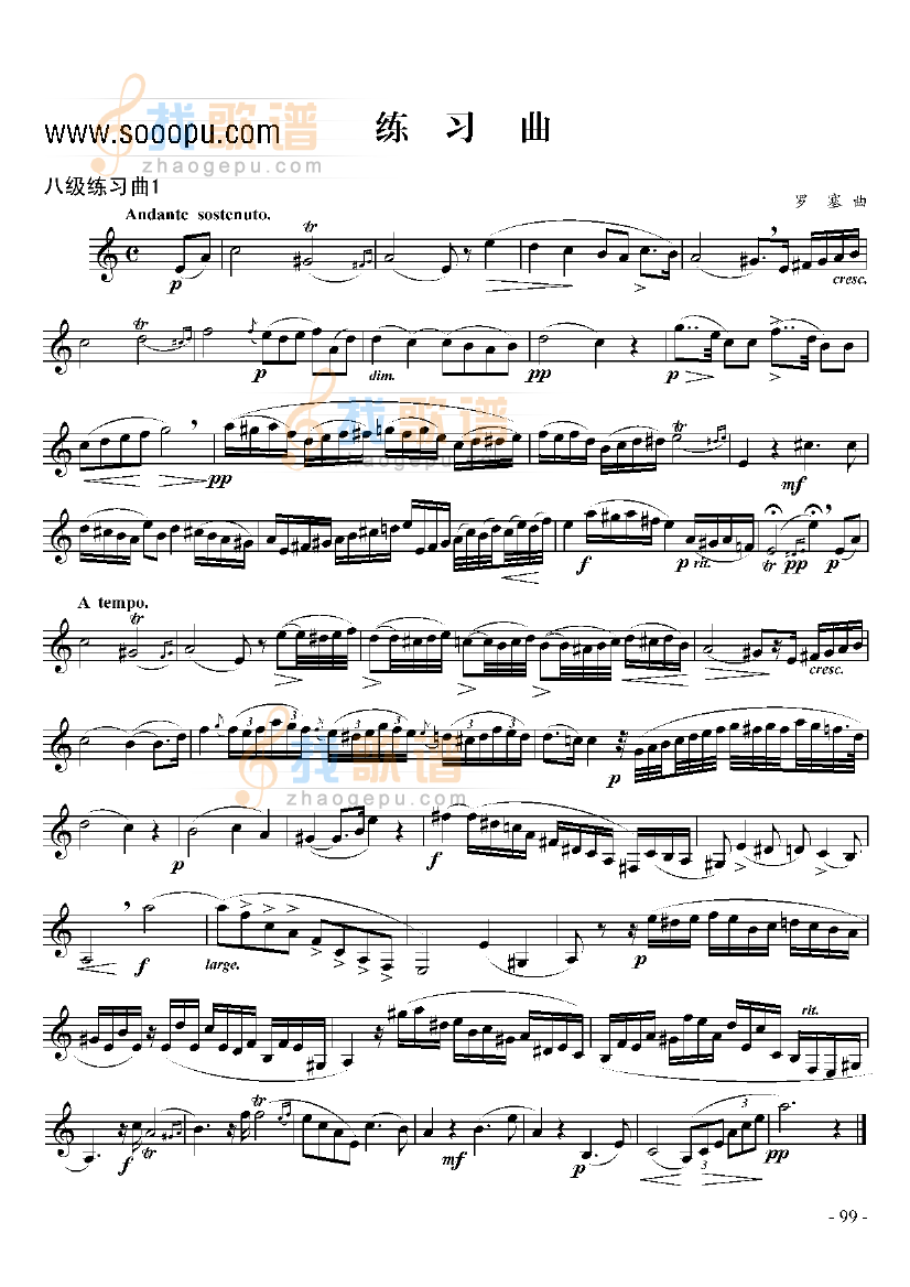 八级练习曲二首