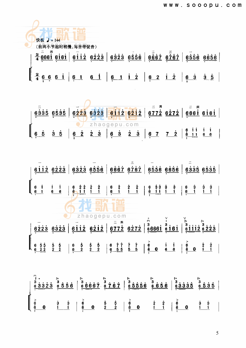 琵琶韵