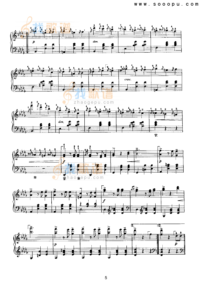 辉煌的大圆舞曲 