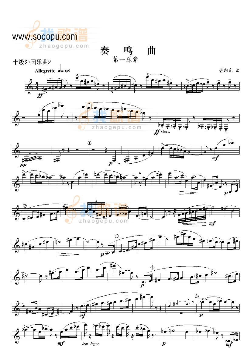 十级外国乐曲奏鸣曲