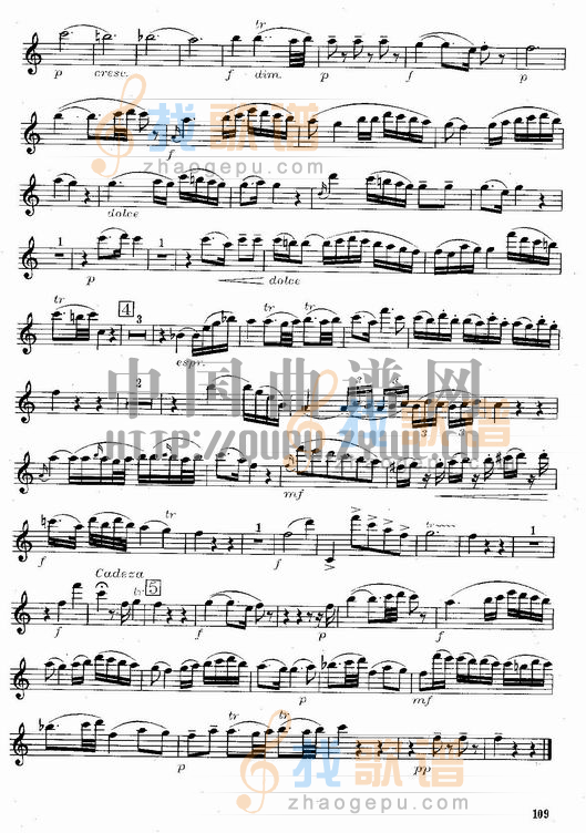 莫扎特C大调长笛协奏曲(Morzat C Major Concerto)