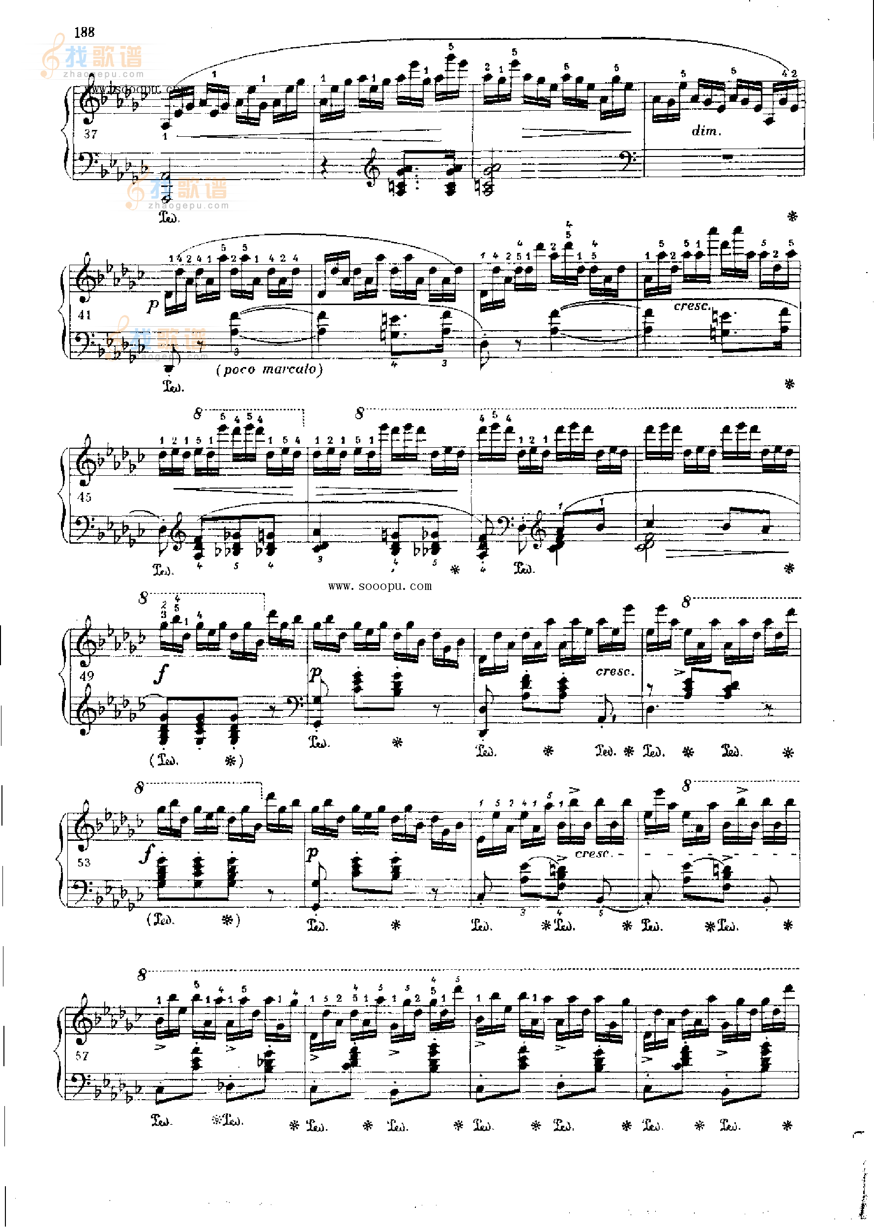 练习曲OP.10  Nr5 