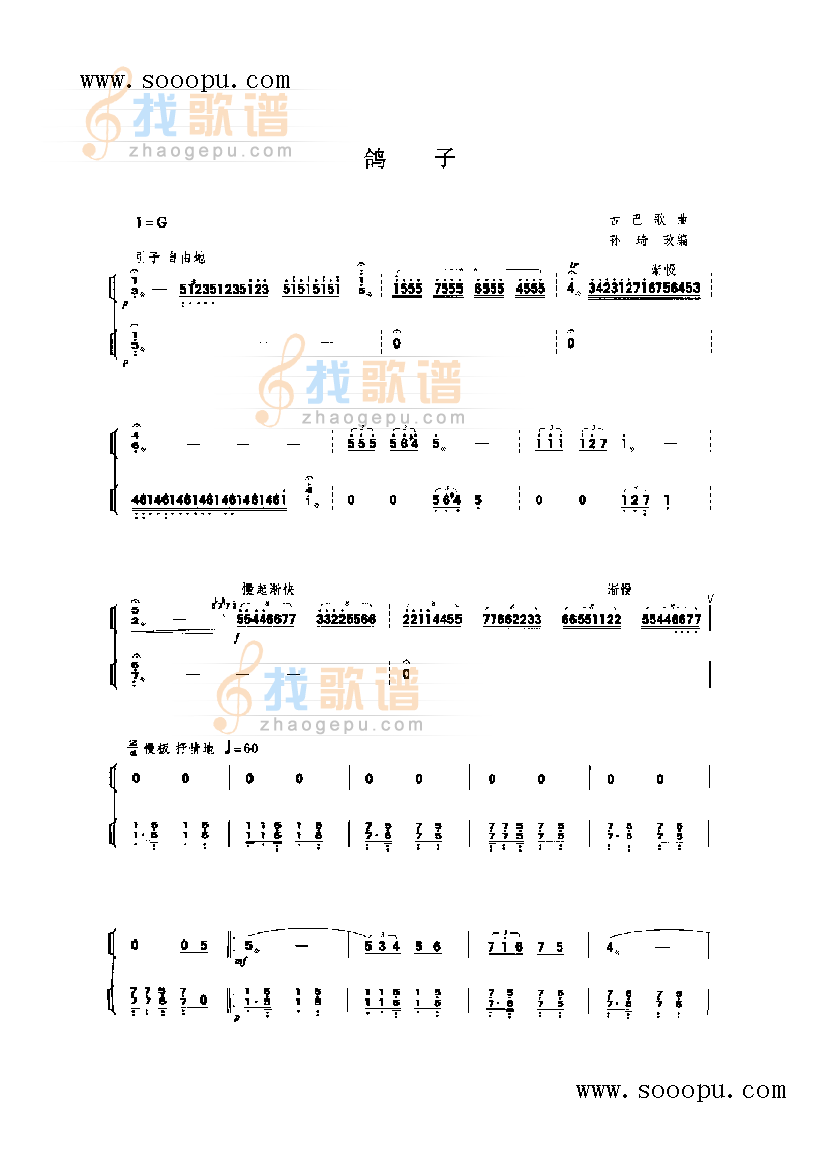 鸽子