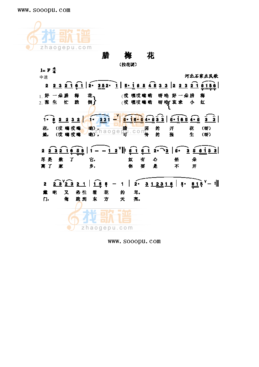 腊梅花 