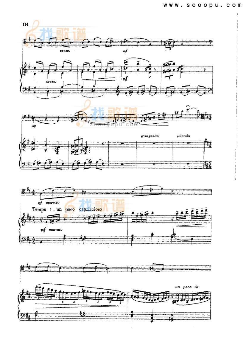 夜曲