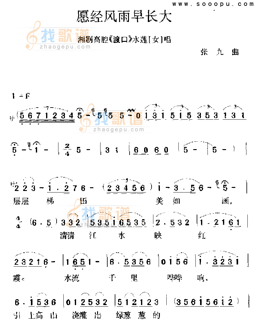 愿经风雨长大