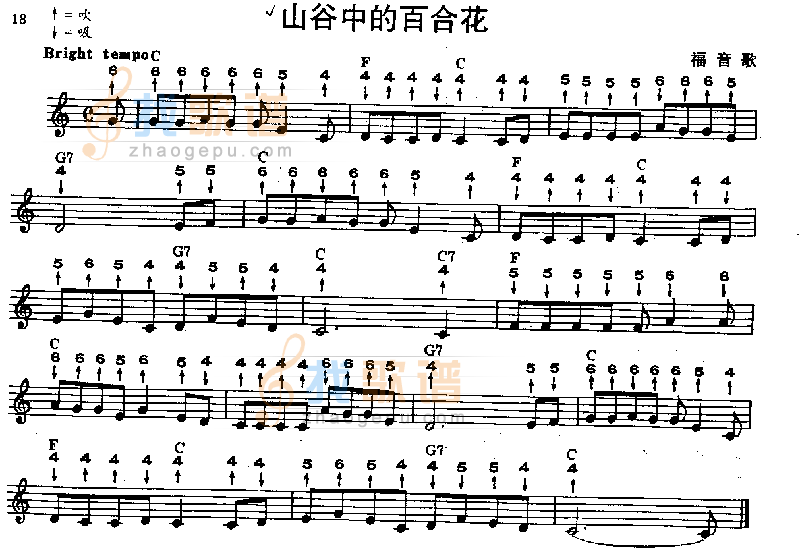 山谷中的百合花 口琴谱