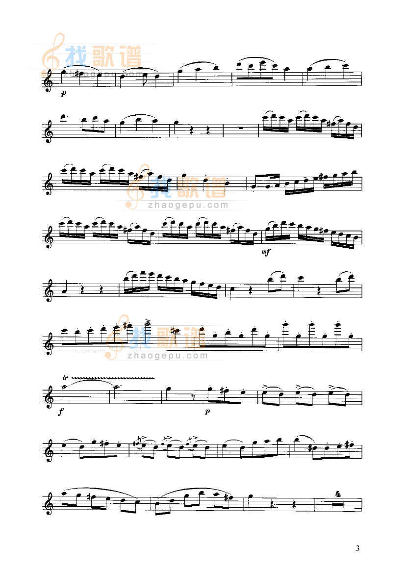 奏鸣曲 