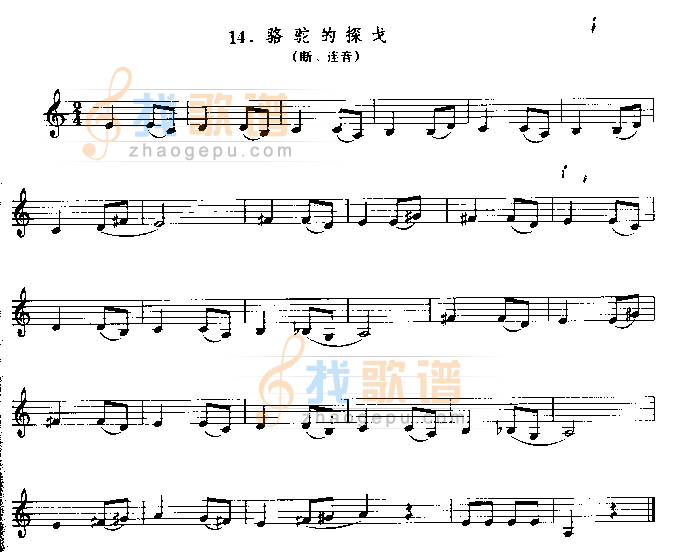 骆驼的探戈