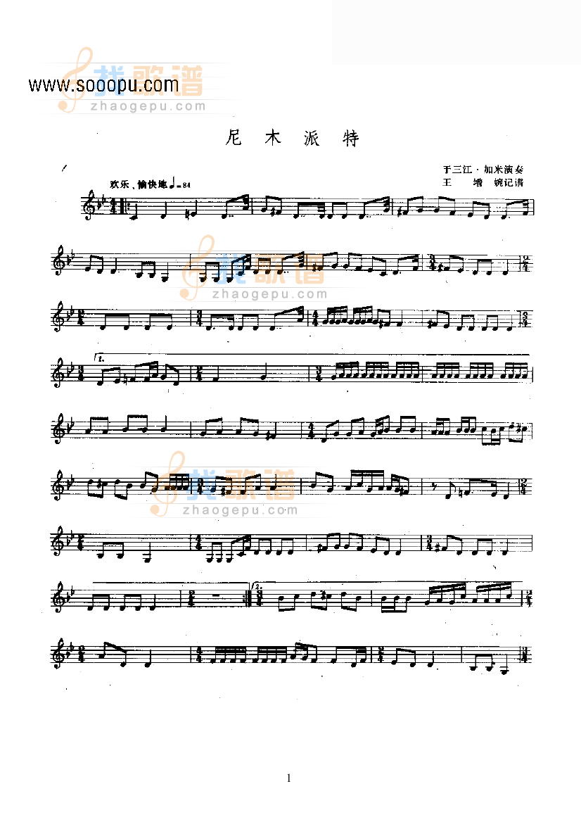 尼木派特—弹布尔