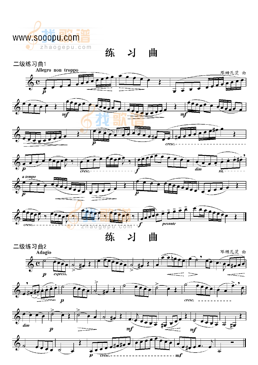 二级练习曲二首