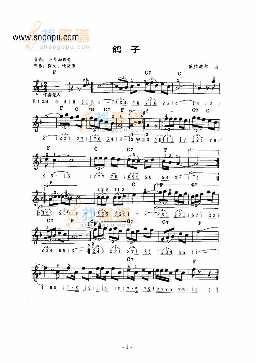 鸽子主题曲 