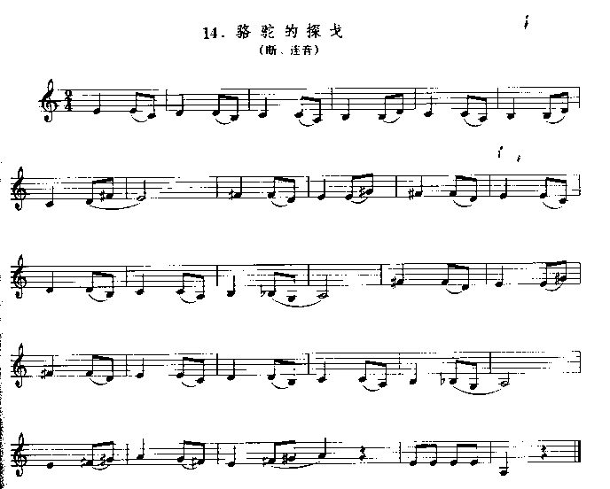 骆驼的探戈