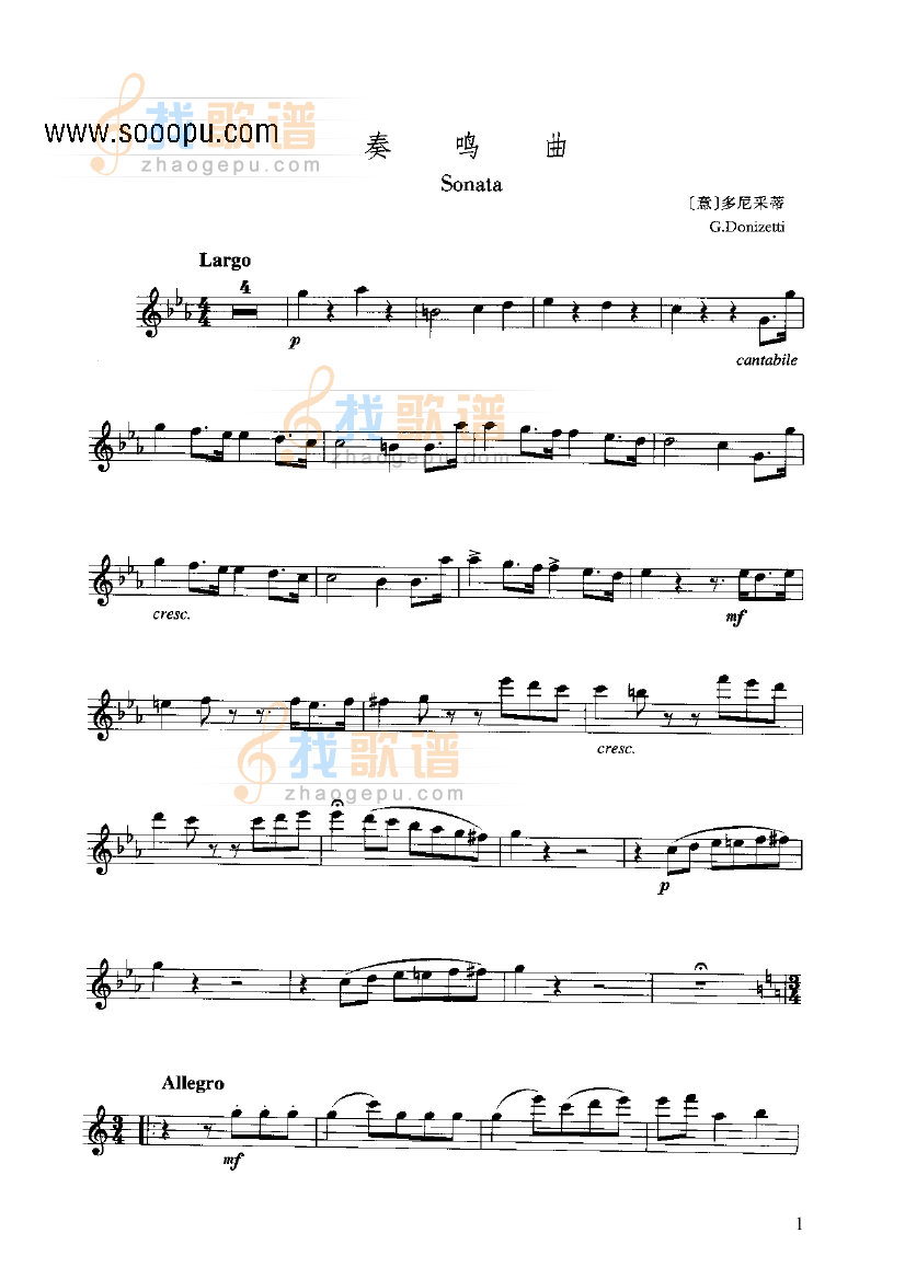 奏鸣曲 