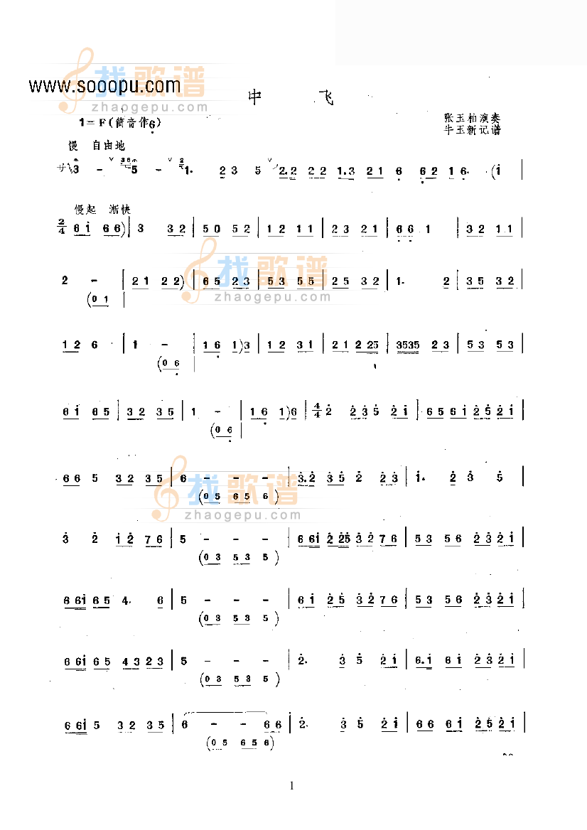 中飞
