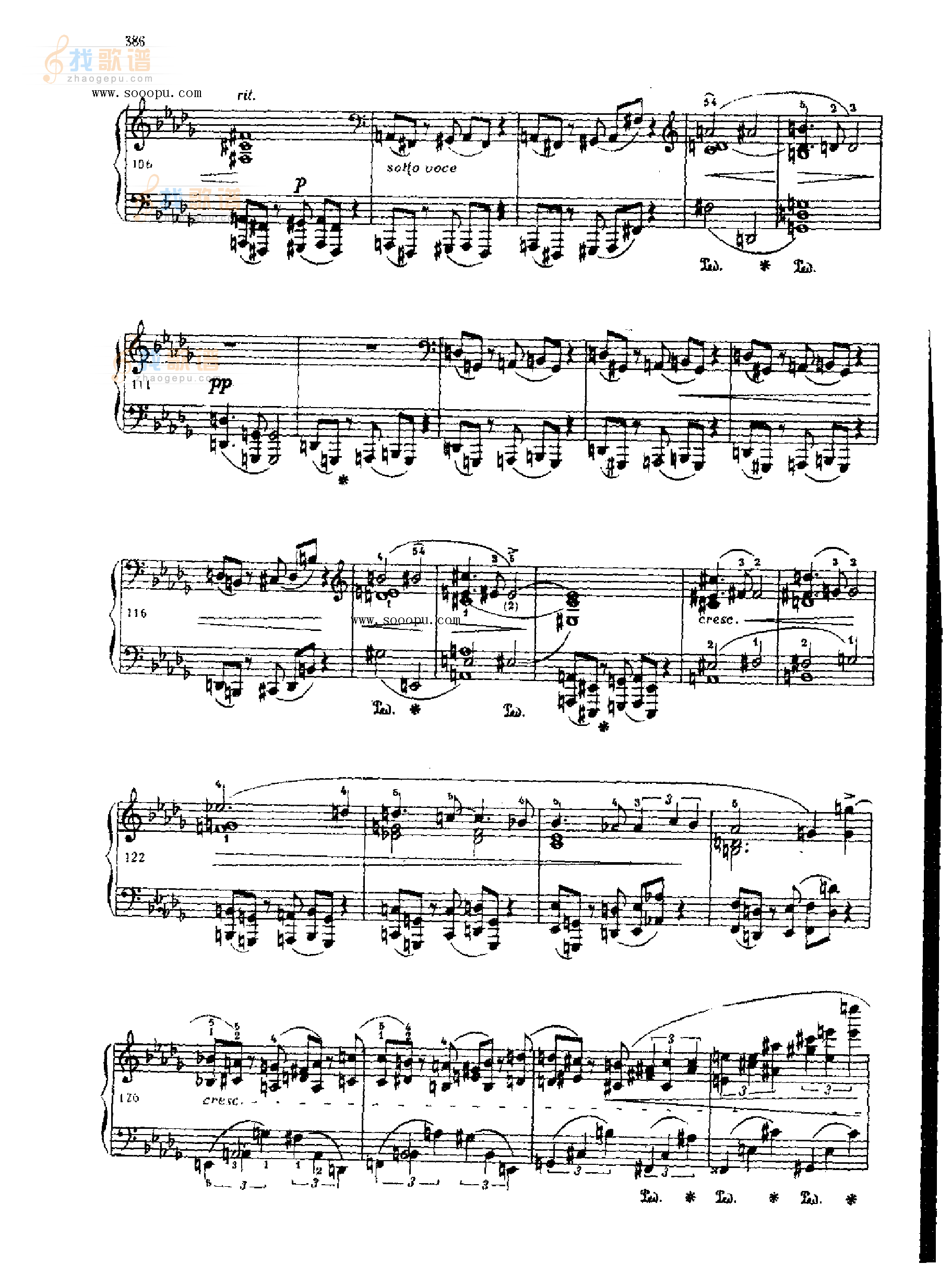 奏鸣曲 