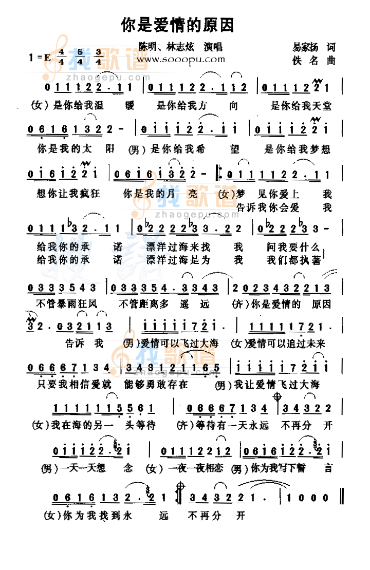 你是爱情的原因