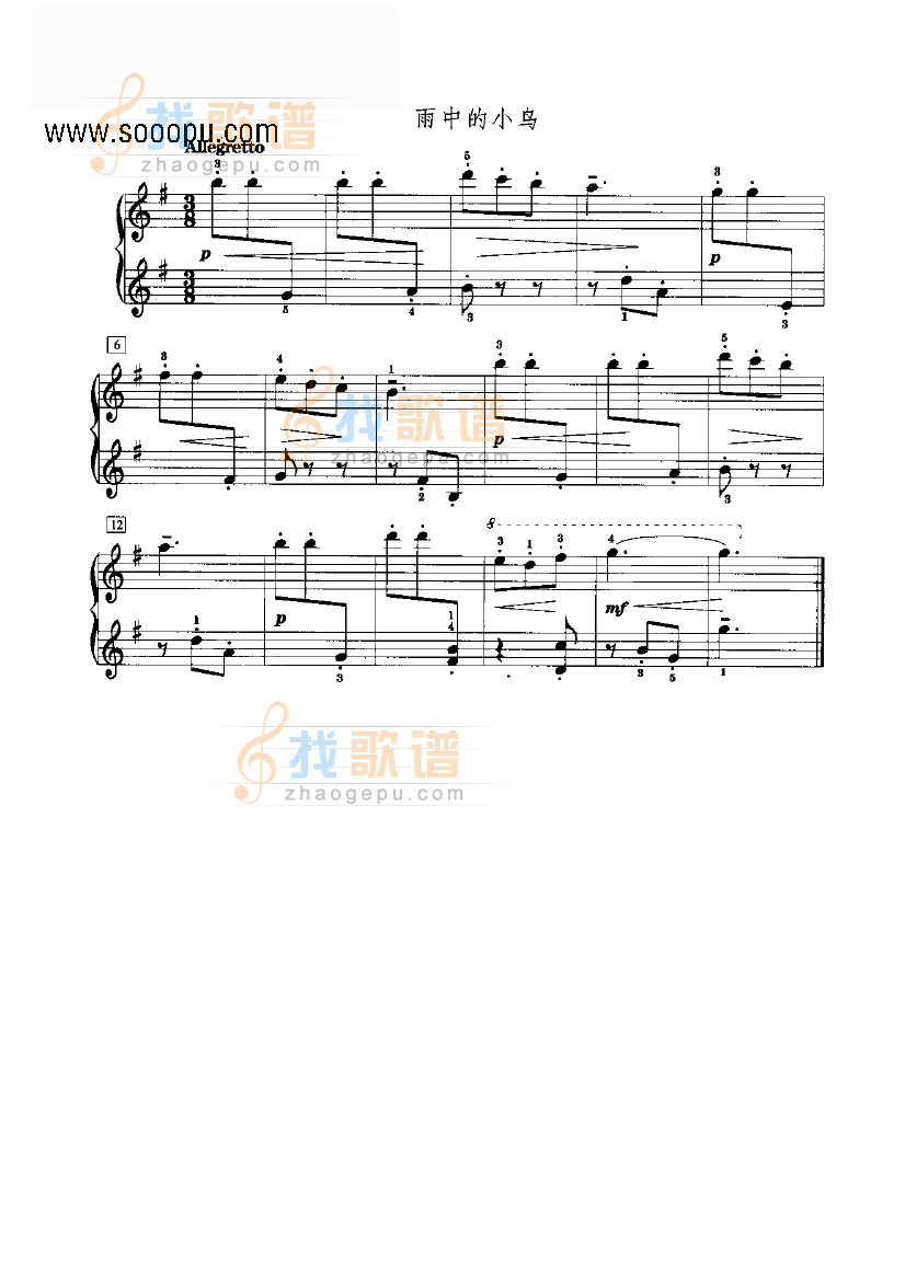 雨中的小鸟 