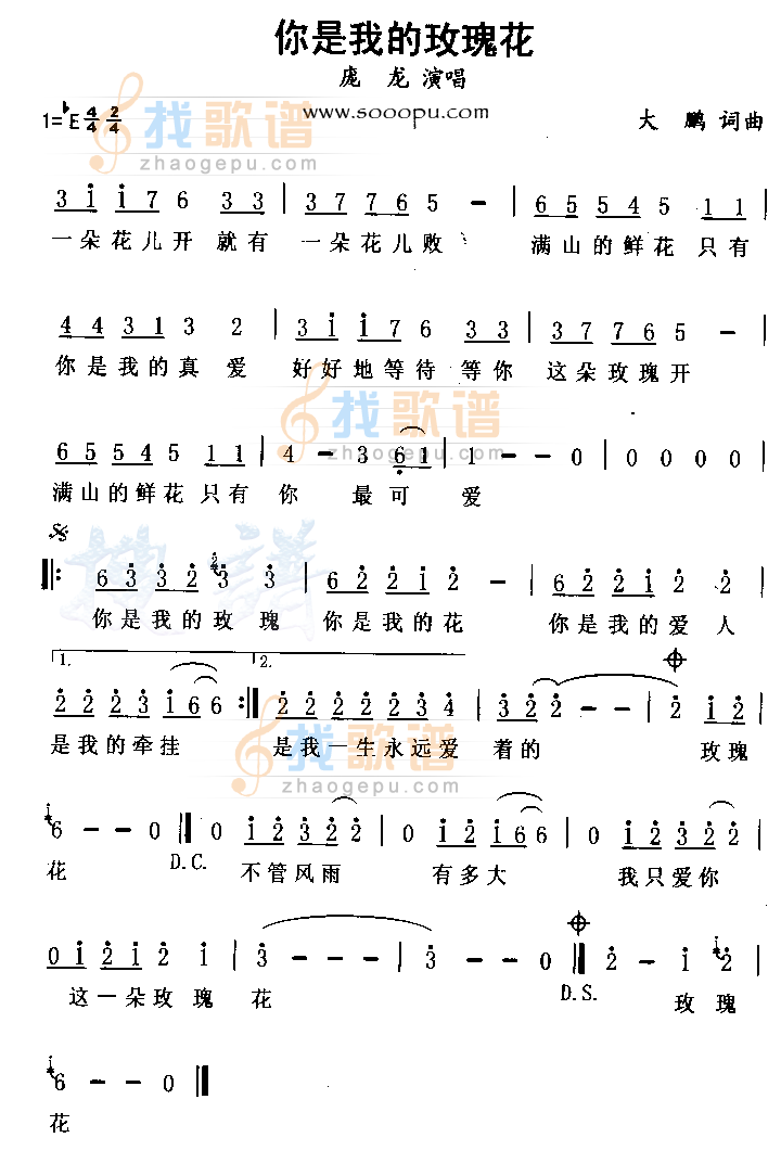 你是我的玫瑰花