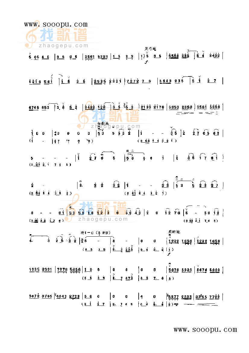 红梅随想曲