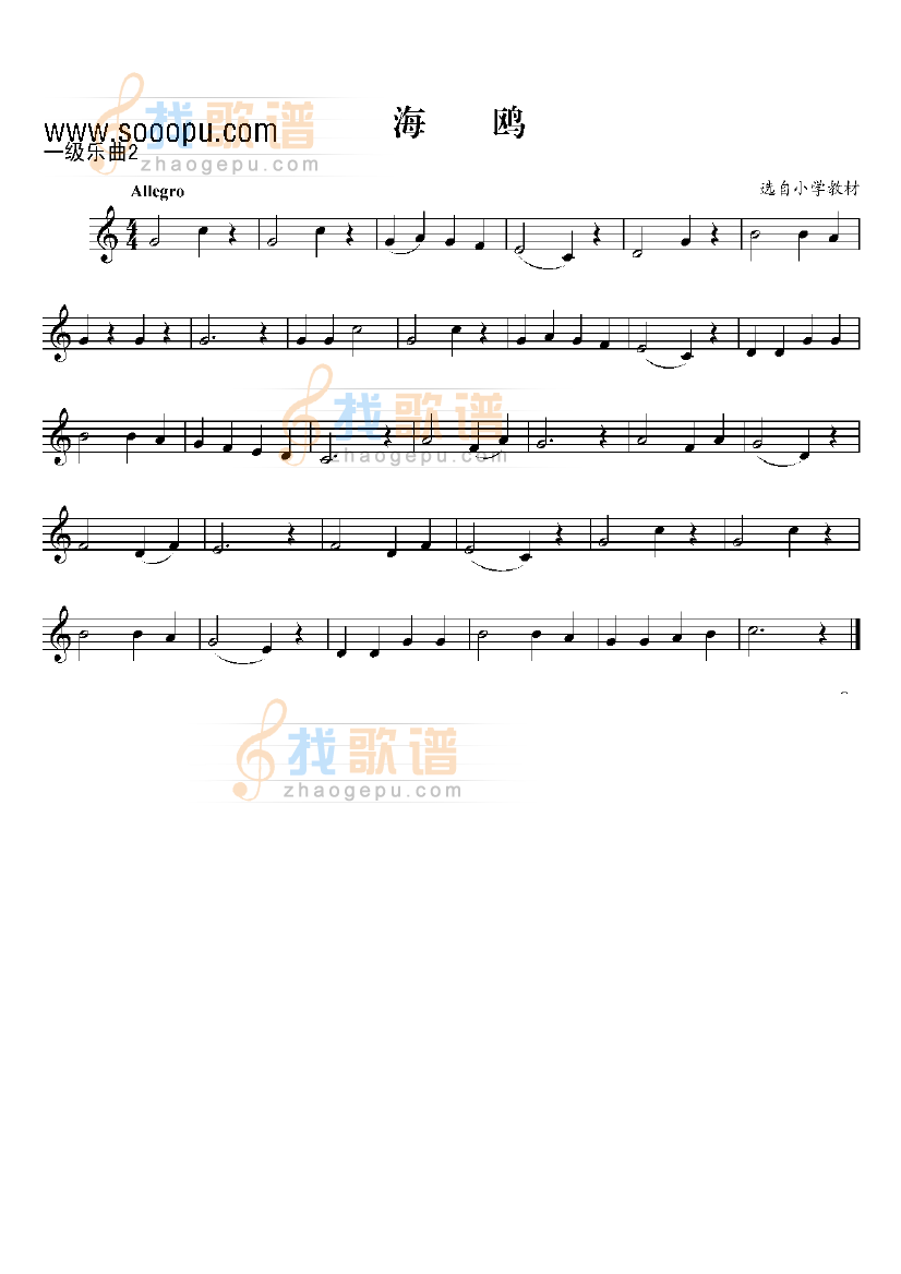 一级乐曲海鸥 