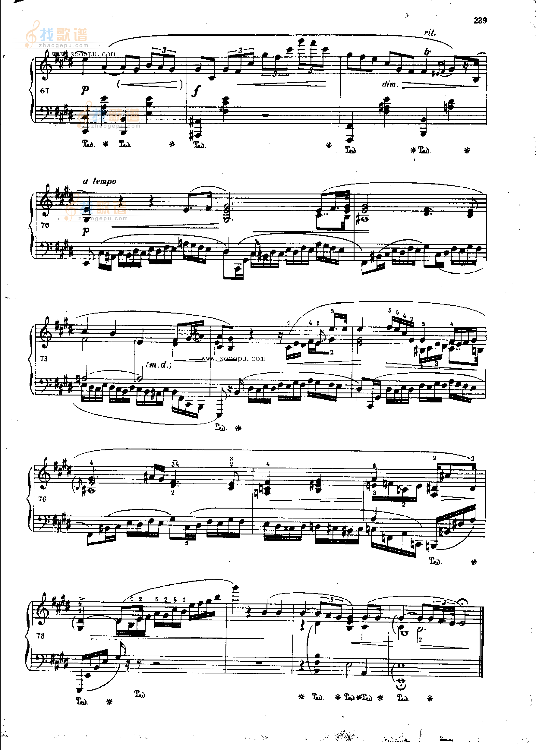 夜曲OP.62  Nr2 