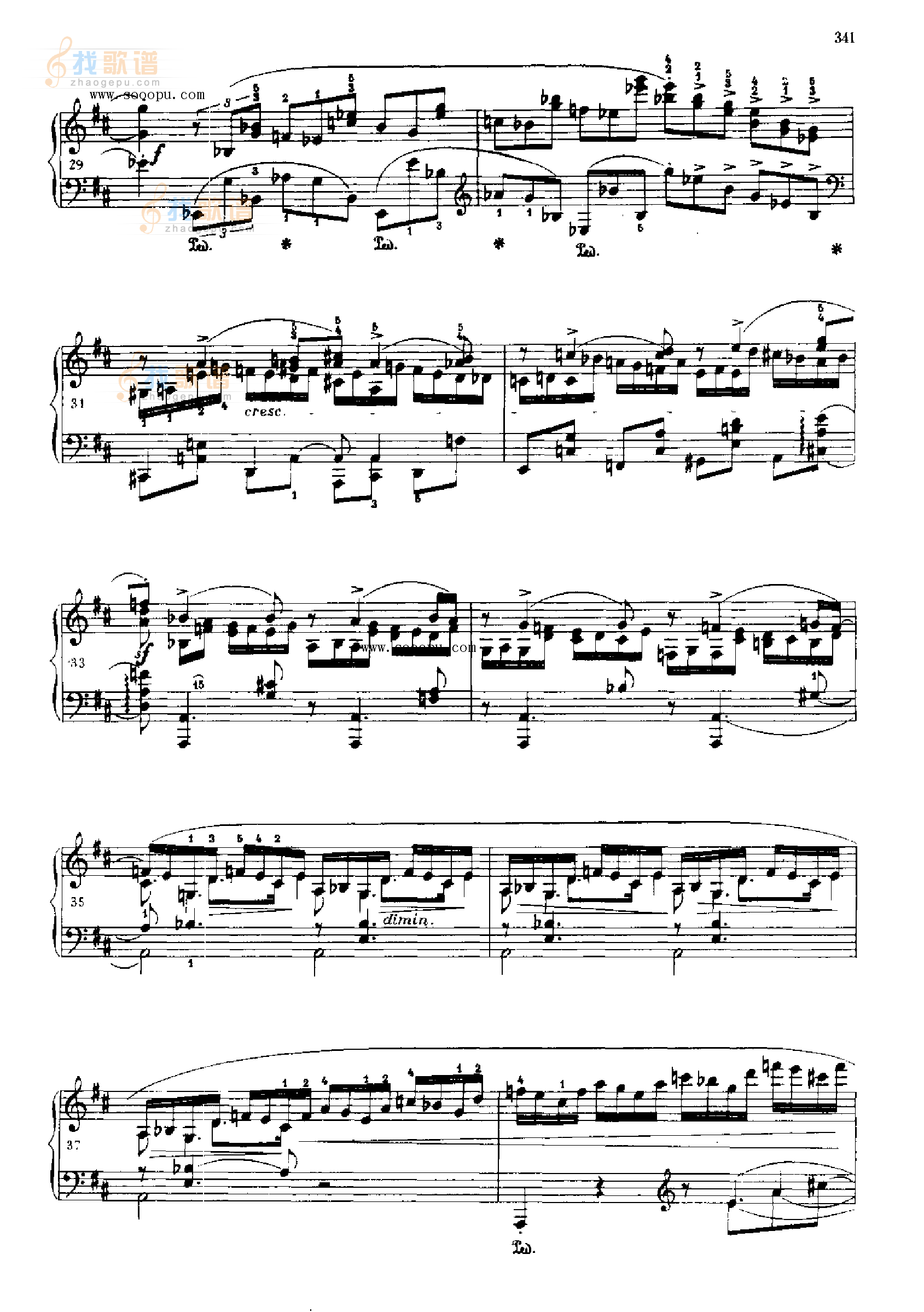 奏鸣曲 