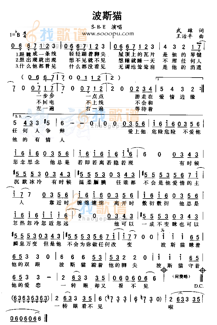 波斯猫