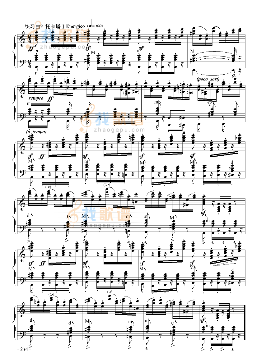 九级乐曲帕格尼尼主题与变奏