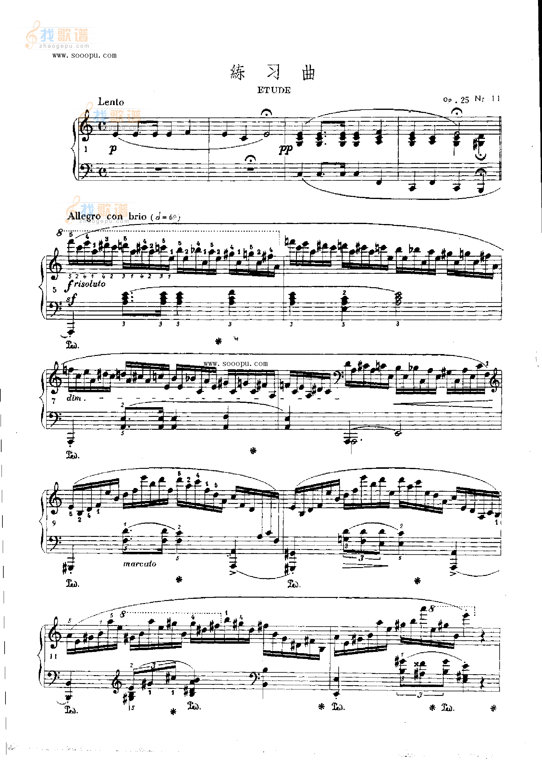 练习曲OP.25  Nr11 