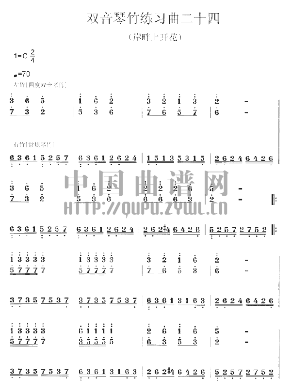 扬琴双音琴竹练习曲 (五)