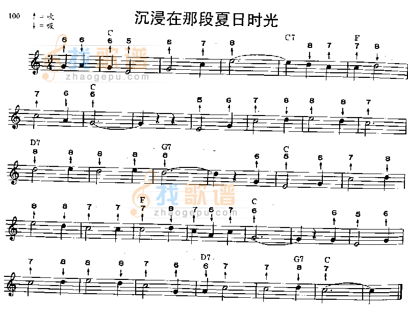 沉浸在那夏日时光 口琴谱