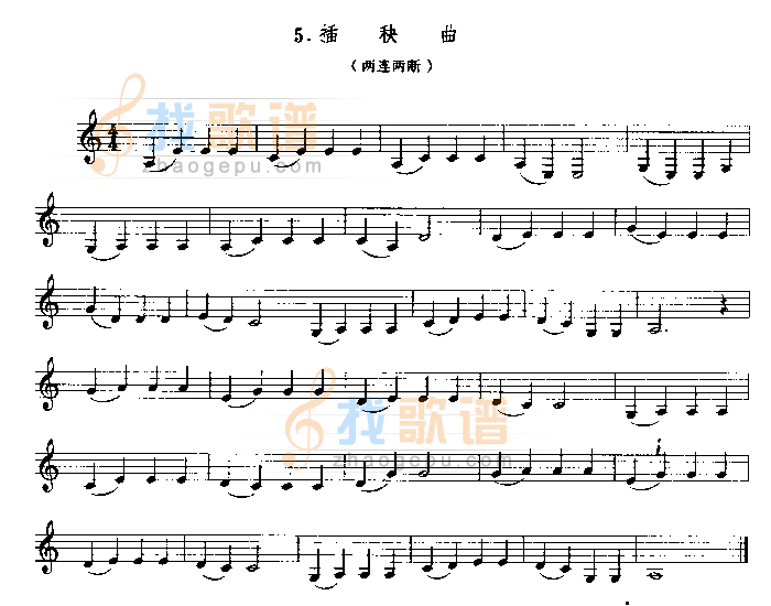 插秧曲