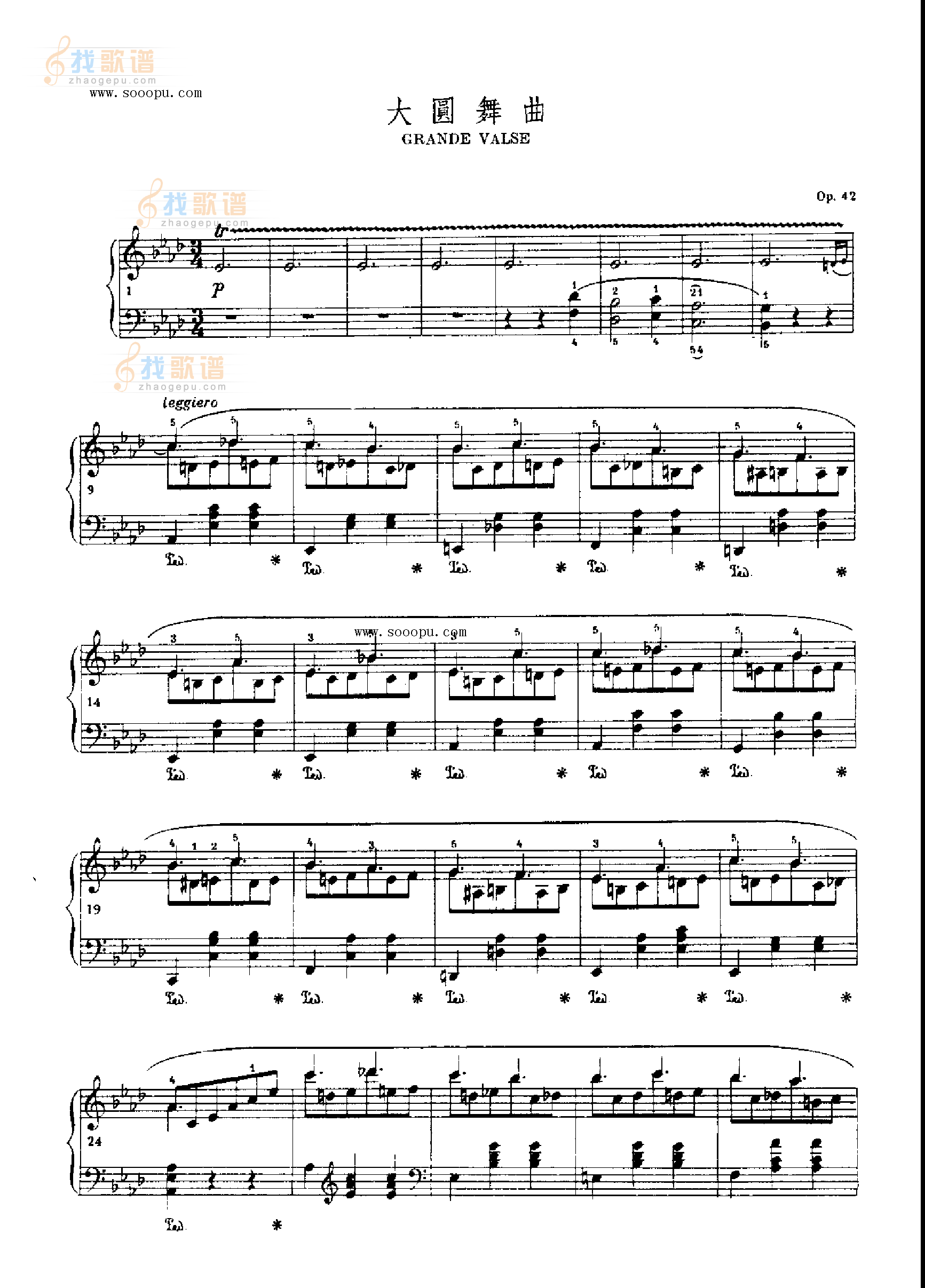 大圆舞曲 