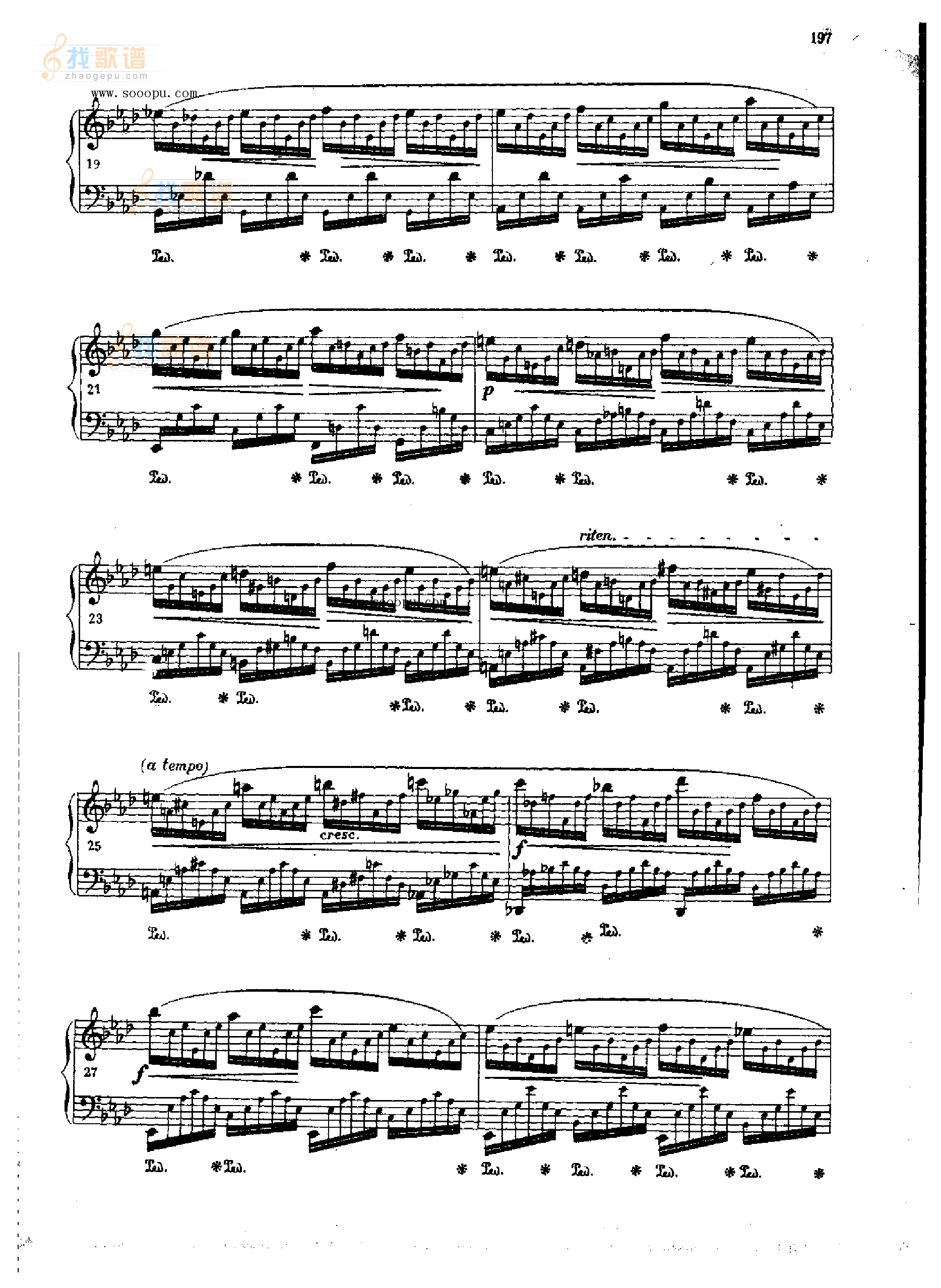练习曲OP.25  Nr1 