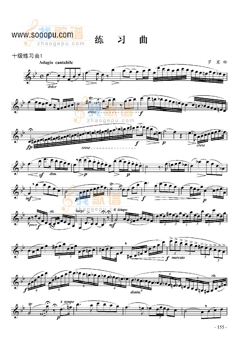 十级练习曲二首