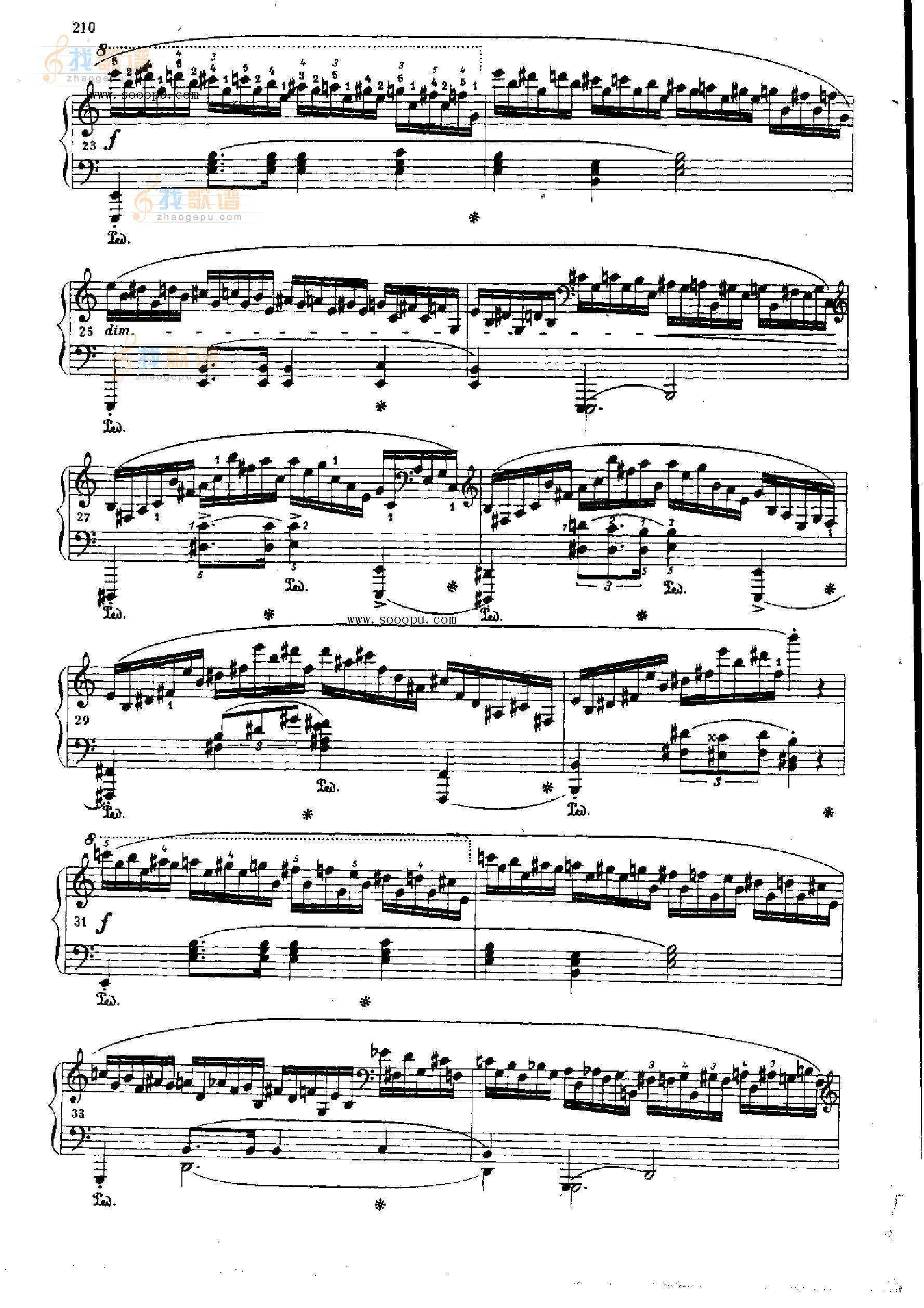 练习曲OP.25  Nr11 