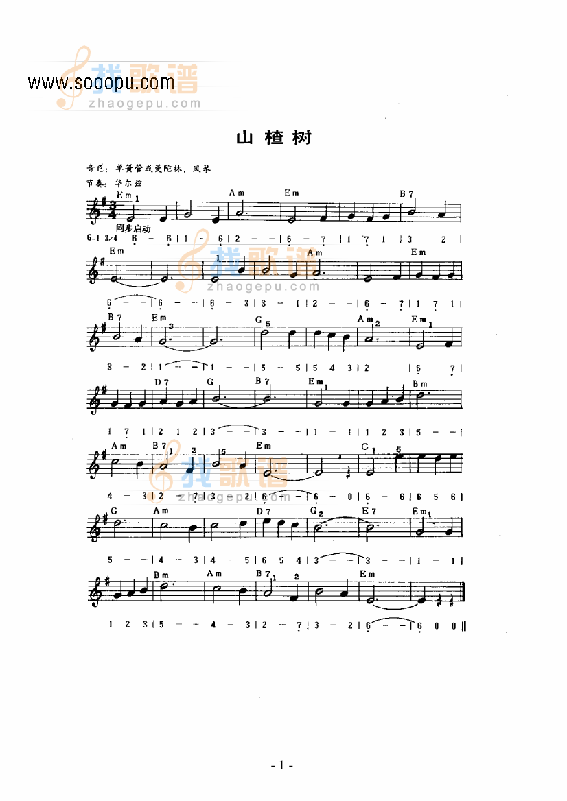 山楂树主题曲 