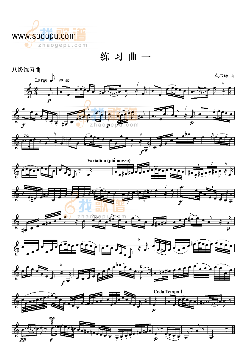 八级练习曲六首 