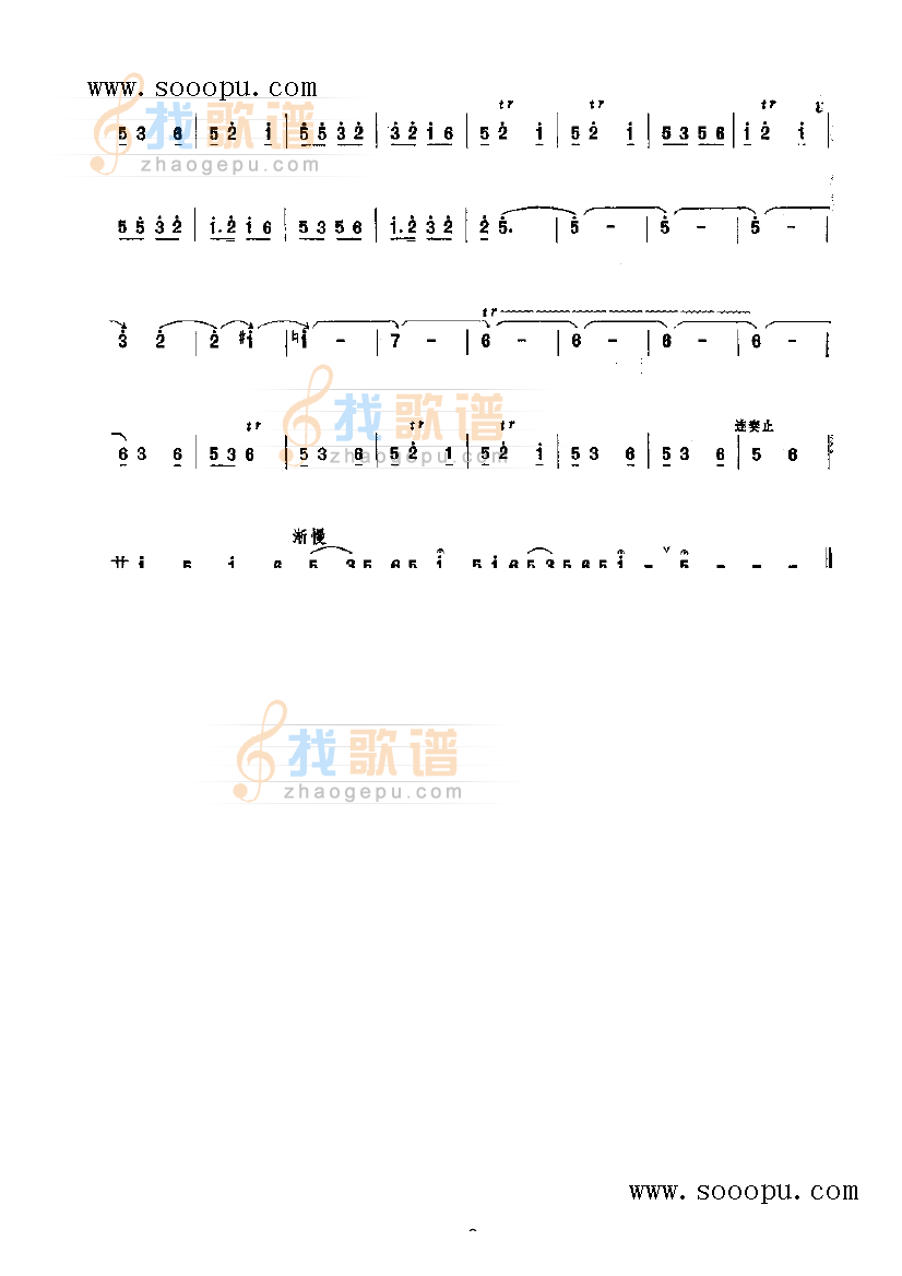 集贤宾