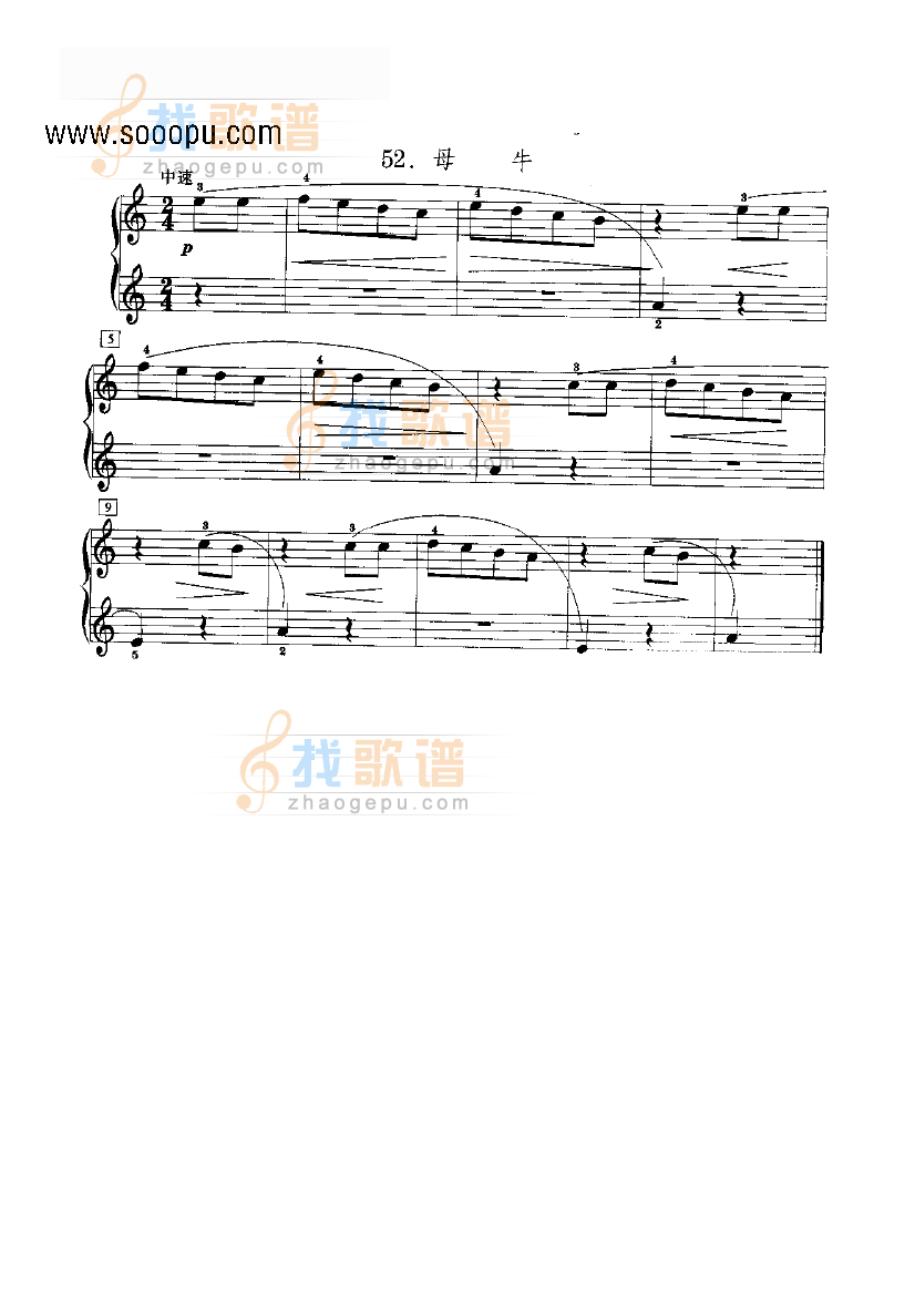 母牛 