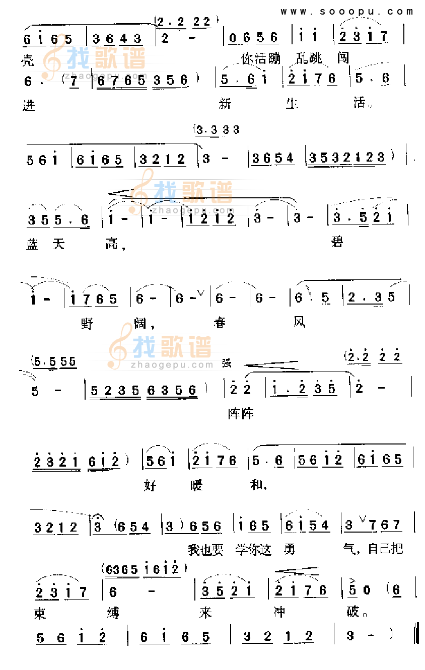 竹篱围起小城廊