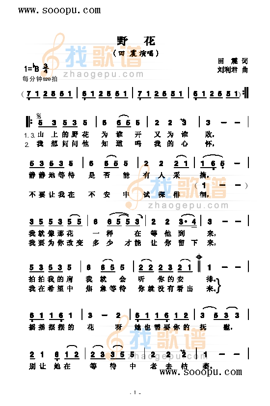 野花 